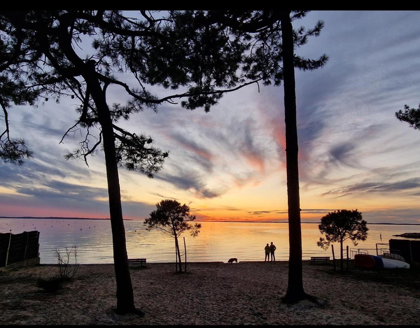 Villa Petit-Pere - A 400M De La Plage Taussat-les-Bains Bagian luar foto